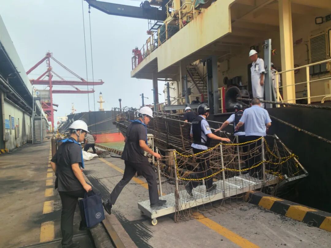 1765327858386066.jpg 1765327858386066.jpg