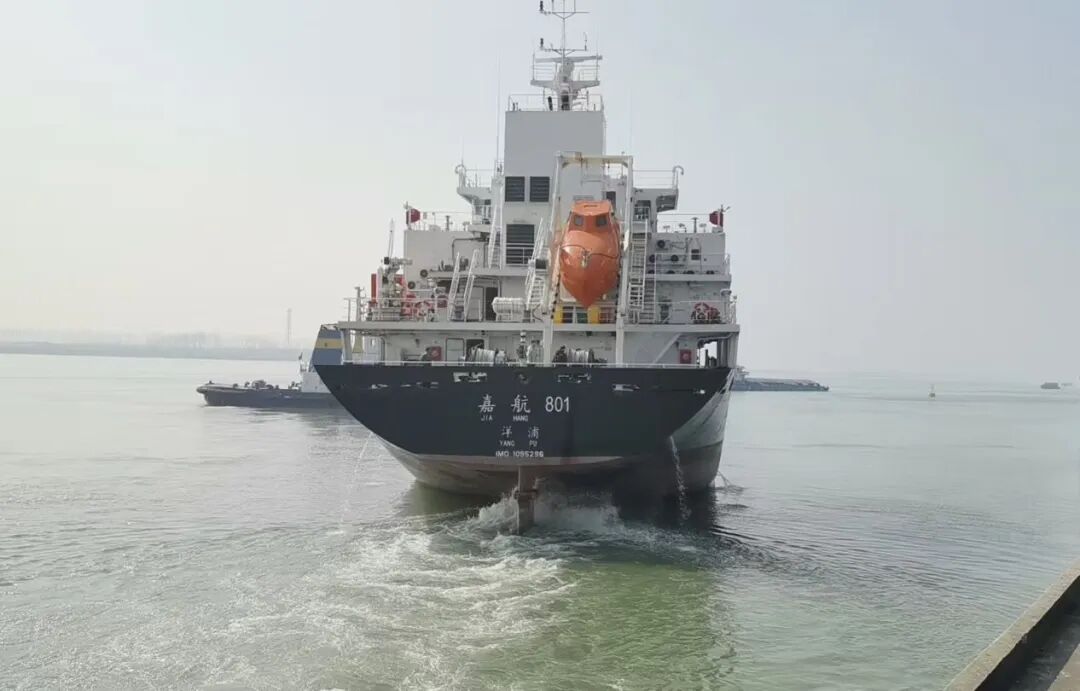 1771915503870919.jpg 1771915503870919.jpg