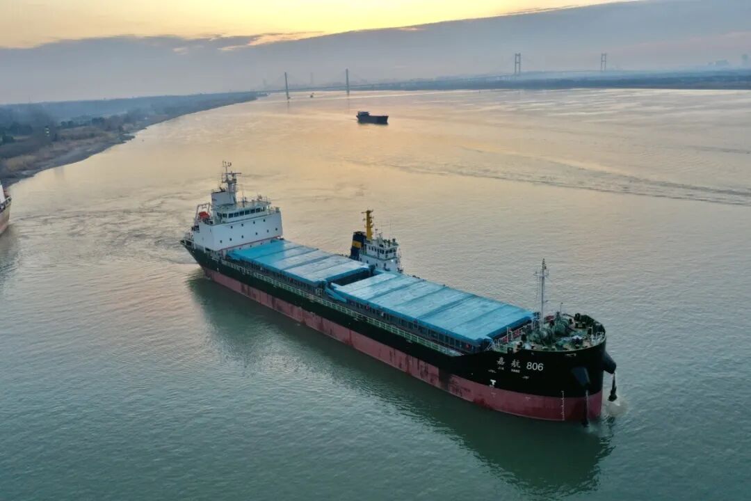 1771915686357672.jpg 1771915686357672.jpg